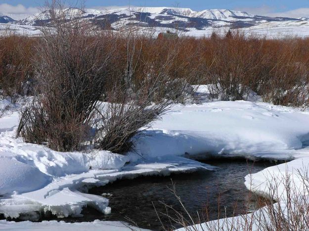 South Piney Creek, Willows and Barn. Photo by Dave Bell.