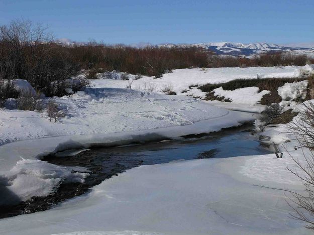 Partially Iced South Piney Creek. Photo by Dave Bell.