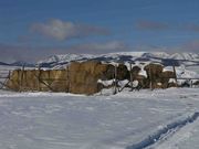 Hay Stack Yard. Photo by Dave Bell.