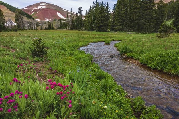 Straight Creek. Photo by Dave Bell.