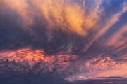 Wild Cloud. Photo by Dave Bell.