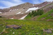 Mt. Coffin. Photo by Dave Bell.