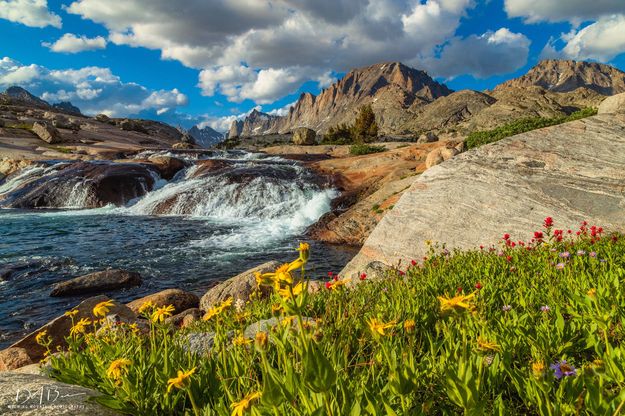 Peaceful At The Falls. Photo by Dave Bell.