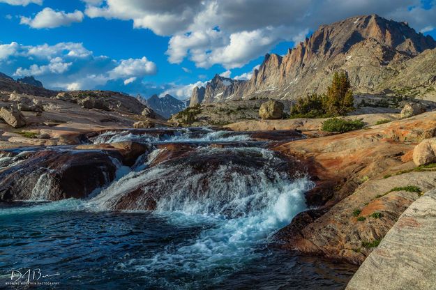 Cascades. Photo by Dave Bell.