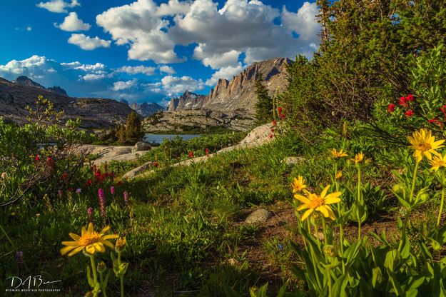 Beauty Of The Mountains. Photo by Dave Bell.