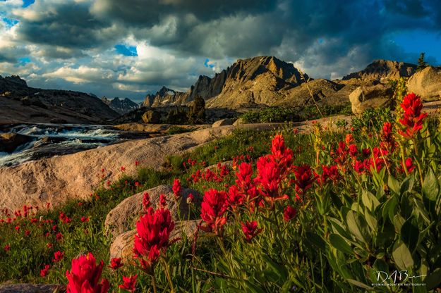 Paintbrush Sunset. Photo by Dave Bell.