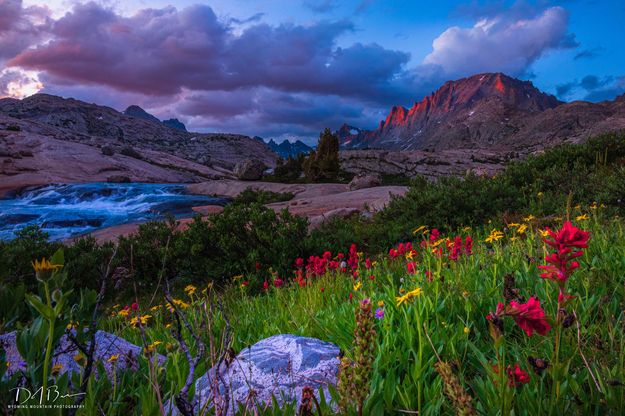 Fremont Last Light. Photo by Dave Bell.