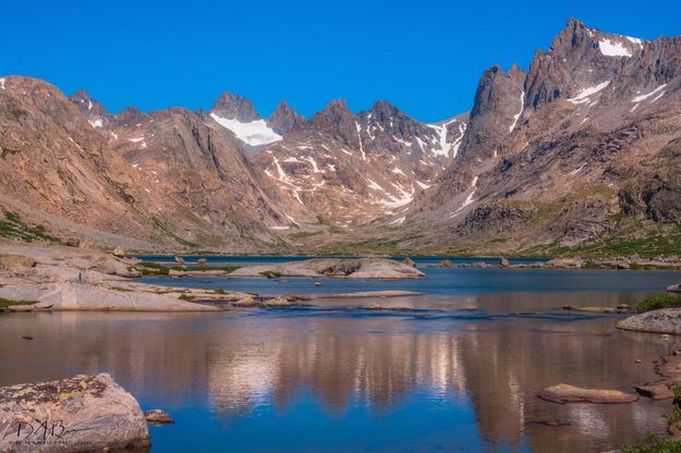 Titcomb Grandeur. Photo by Dave Bell.