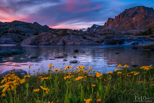 The Beautiful Pond. Photo by Dave Bell.