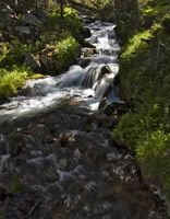 Twin Lakes Outlet Stream. Photo by Dave Bell.