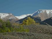 High Country. Photo by Dave Bell.