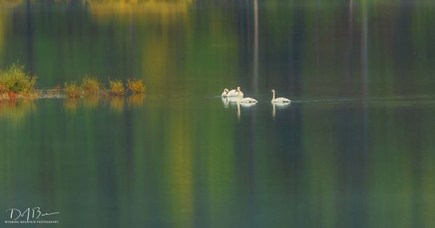 Huddle Up. Photo by Dave Bell.