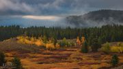 Fall In The Mountains. Photo by Dave Bell.