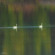 Too Many People--Sailing Away!. Photo by Dave Bell.