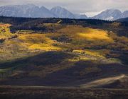 Vivid Mountainside Colour. Photo by Dave Bell.