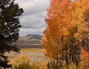 Bacon Ridge Across The Green River Valley. Photo by Dave Bell.