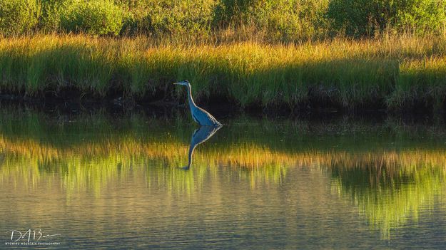 Morning Reflections. Photo by Dave Bell.