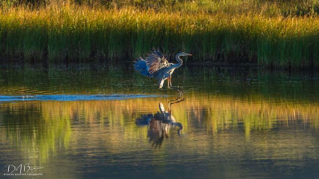 Brace For Impact. Photo by Dave Bell.