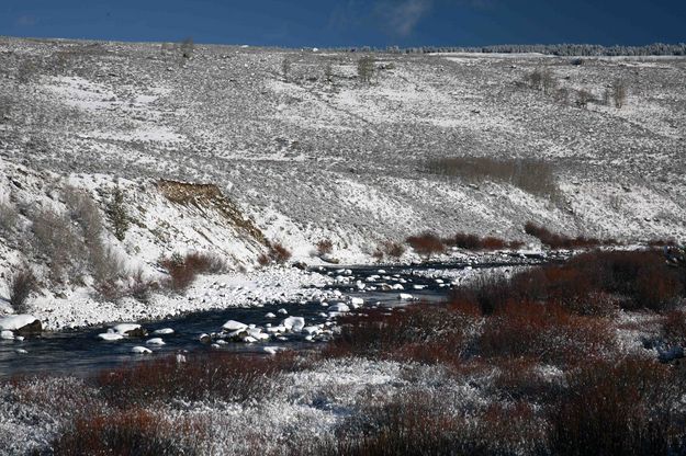 Fresh Snow On Upper Green River. Photo by Dave Bell.