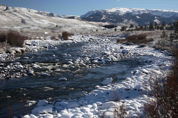 Snowy River Banks. Photo by Dave Bell.