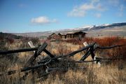 Fence Remnant At Osborn Cabin. Photo by Dave Bell.