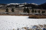 Dried Out Marshy Area. Photo by Dave Bell.