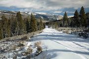 Upper Green Winter Scene. Photo by Dave Bell.