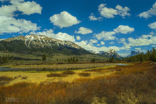 Osborne-Whiterock-Squaretop. Photo by Dave Bell.