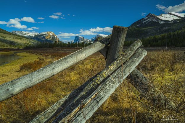 Old Rails. Photo by Dave Bell.