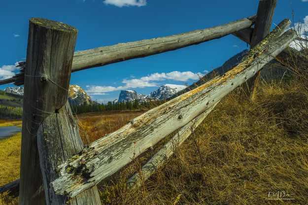 Fence And Line. Photo by Dave Bell.