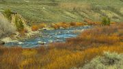 Upper Green Spring Color. Photo by Dave Bell.