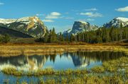 Reflections. Photo by Dave Bell.