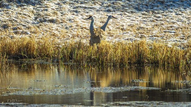 Which Way?. Photo by Dave Bell.