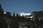 View Up Tosi Creek. Photo by Dave Bell.