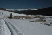 View Down Tosi Creek. Photo by Dave Bell.