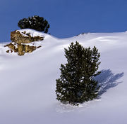 Rock Outcropping. Photo by Dave Bell.