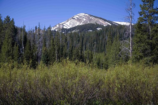 Deadman Mountain From North. Photo by Dave Bell.