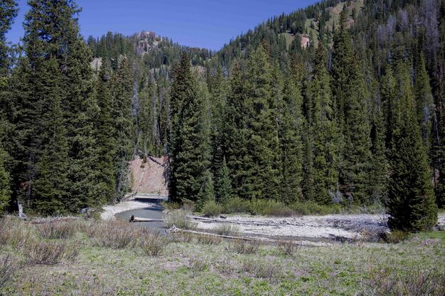 Hoback River. Photo by Dave Bell.