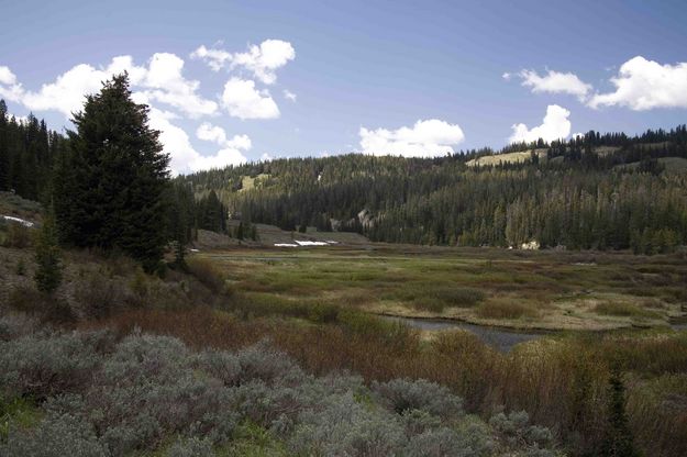 Upper Hoback Meadows. Photo by Dave Bell.