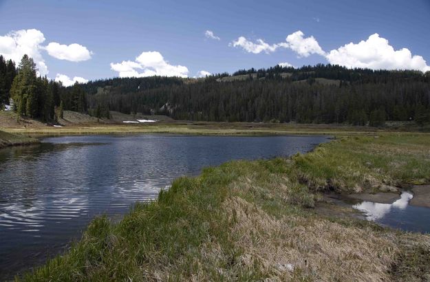 Pond In Upper Hoback Meadows. Photo by Dave Bell.