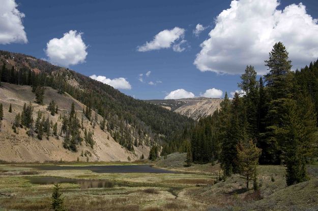 Upper Hoback and Meadows. Photo by Dave Bell.