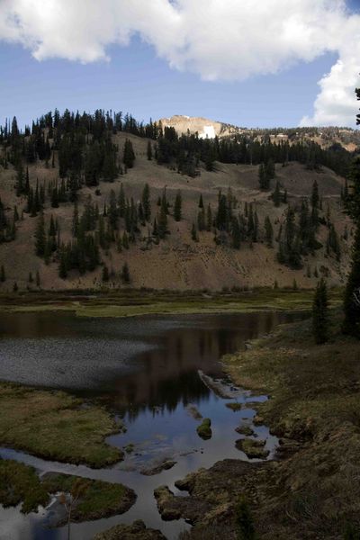 Small Pond In Upper Hoback Meadows. Photo by Dave Bell.