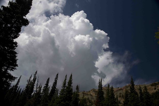 Towering Cumulus. Photo by Dave Bell.