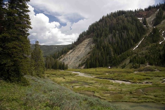 Hoback Meadows Near Trailhead. Photo by Dave Bell.