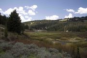 Upper Hoback Meadows. Photo by Dave Bell.