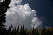 Towering Cumulus. Photo by Dave Bell.