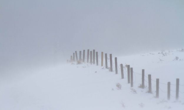 Following The Fenceline. Photo by Dave Bell.