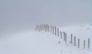 Following The Fenceline. Photo by Dave Bell.