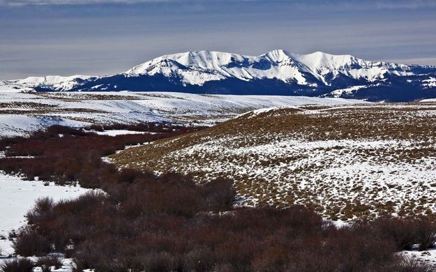 Spring Creek Near Ryegrass Junction. Photo by Dave Bell.