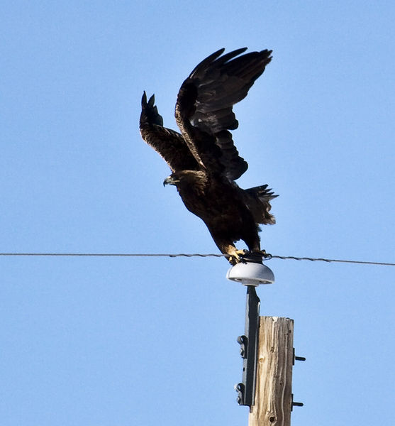 Ready, Set, Go!. Photo by Dave Bell.